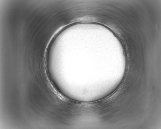 X0000051921248200507222126