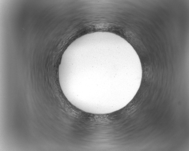 X0000051921249200507222125