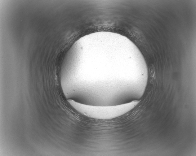 X0000051921252200507222125