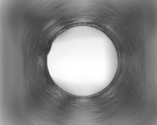 X0000051921257200507222125