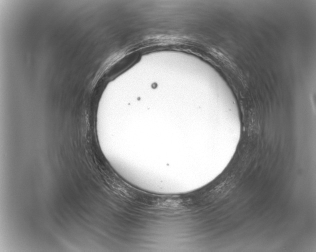 X0000051921261200507222125