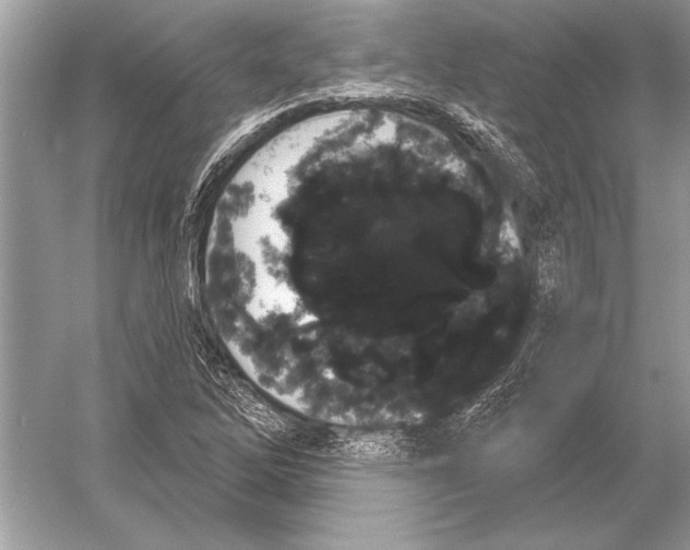 X0000051921262200507222125