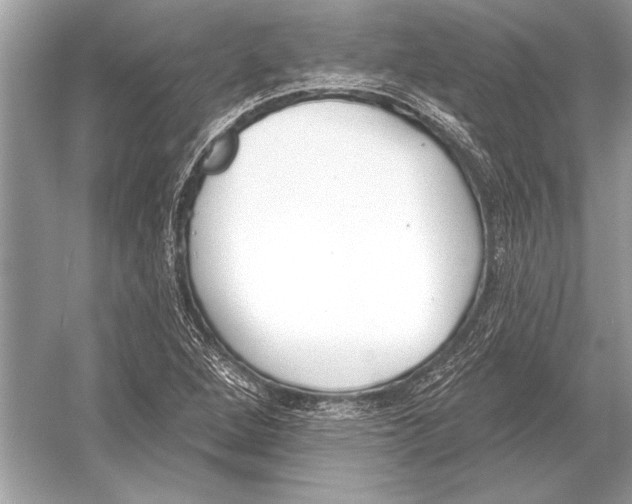 X0000051921264200507222125