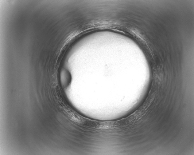 X0000051921267200507222125