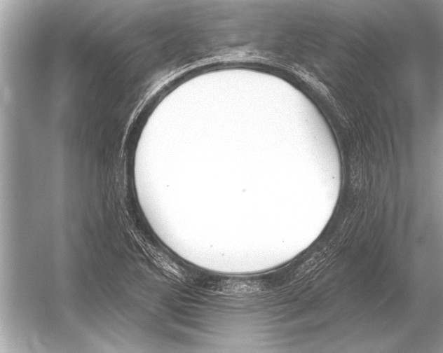 X0000051921270200507222125