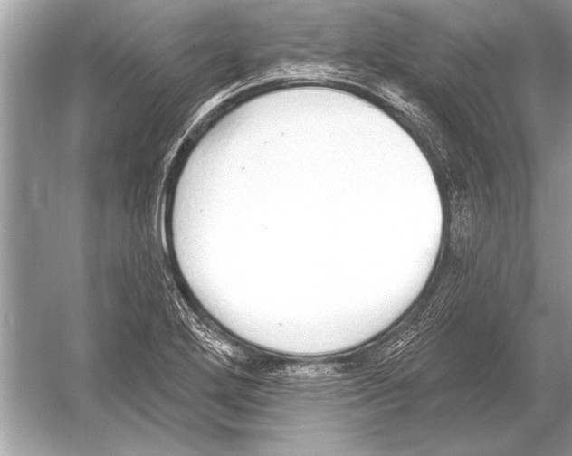 X0000051921272200507222125