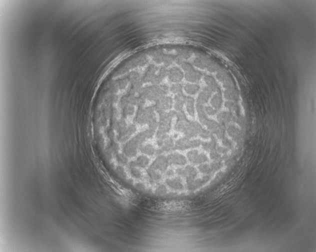 X0000051921274200507222125