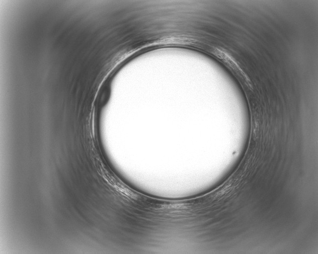 X0000051921276200507222125