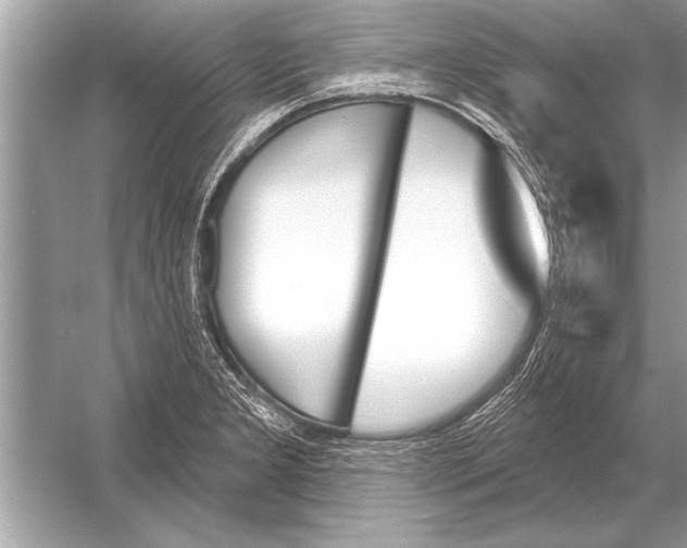 X0000051921277200507222125