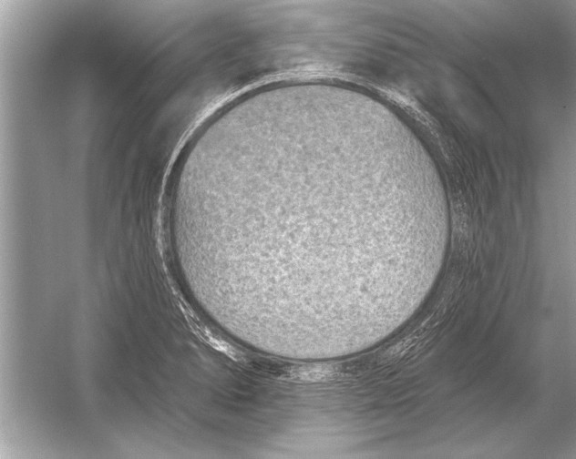 X0000051921278200507222125