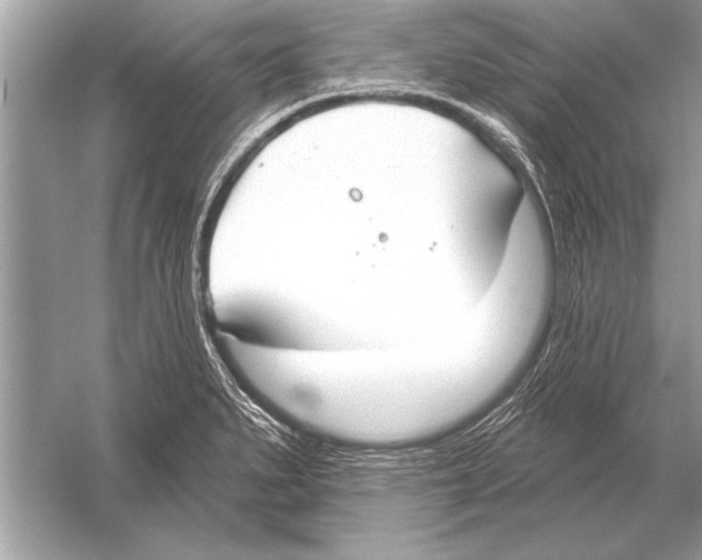 X0000051921279200507222125