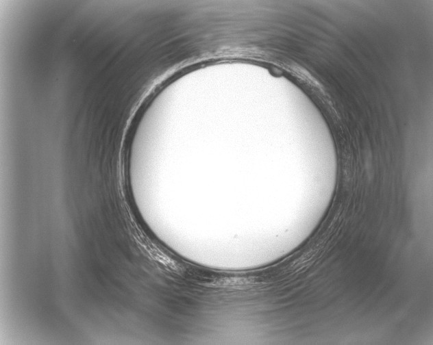 X0000051921280200507222125