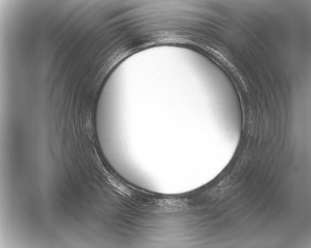 X0000051921281200507222125