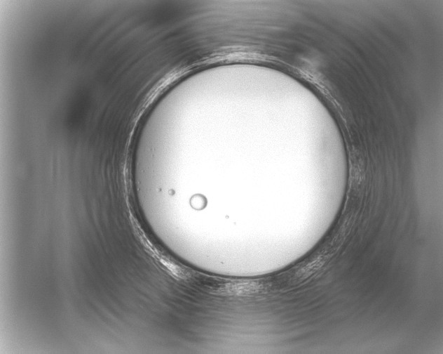 X0000051921282200507222125