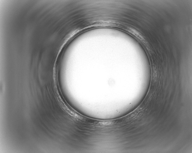 X0000051921283200507222125