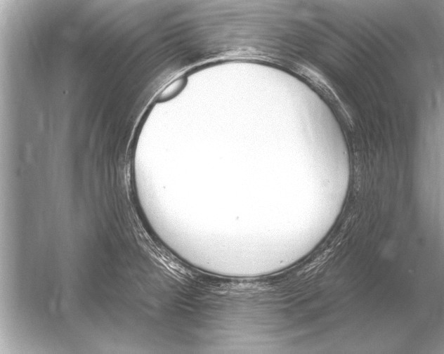 X0000051921284200507222125