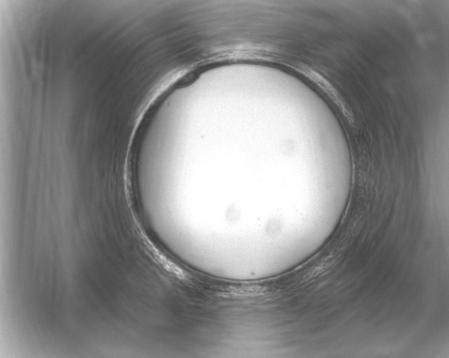 X0000051921285200507222125