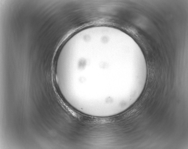 X0000051921286200507222125