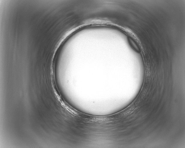 X0000051921287200507222125