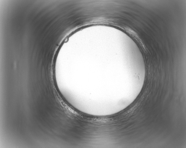 X0000051921288200507222125