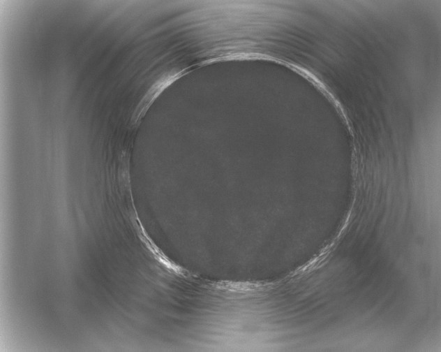 X0000051921289200507222125