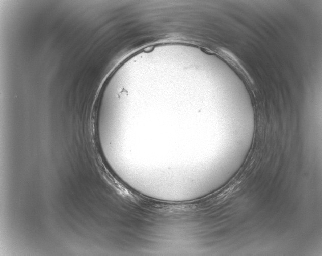 X0000051921292200507222124