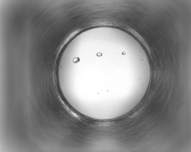 X0000051921293200507222124