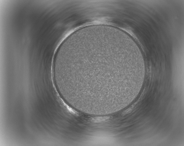 X0000051921294200507222124