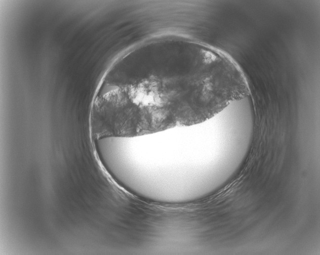 X0000051921295200507222124