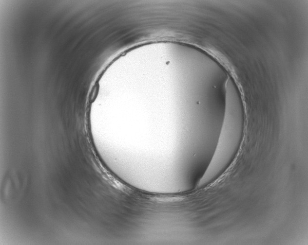 X0000051921296200507222124