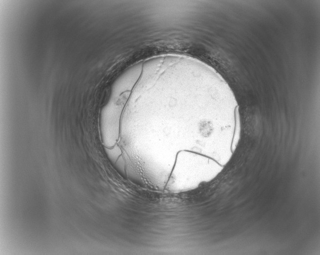 X0000051921297200507222124