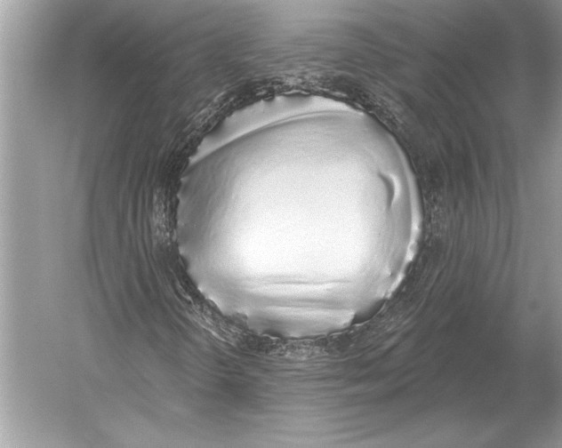 X0000051921298200507222124