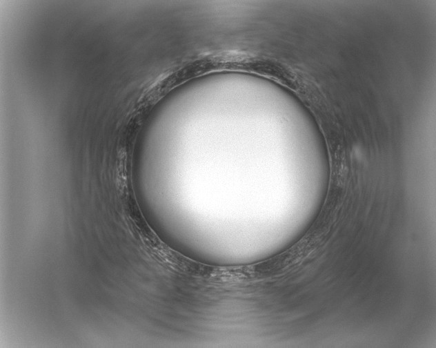 X0000051921301200507222124