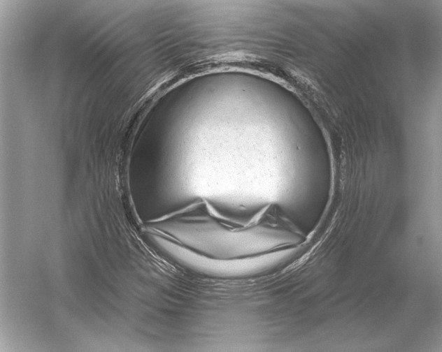 X0000051921305200507222124