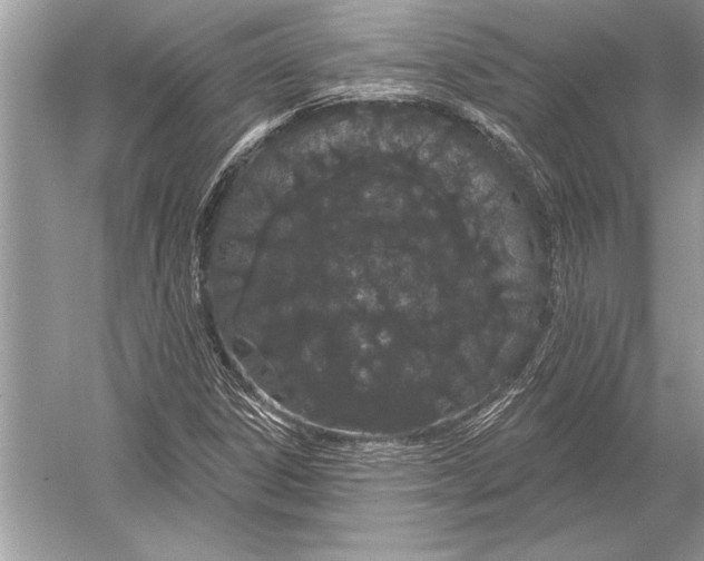 X0000051921306200507222124