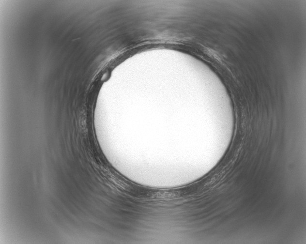 X0000051921307200507222124