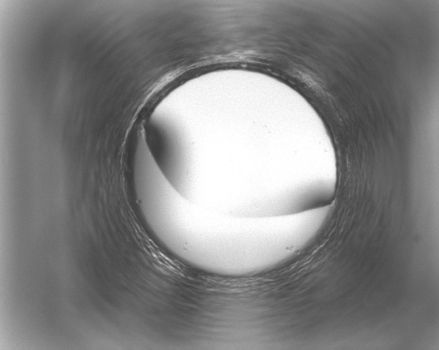 X0000051921308200507222124