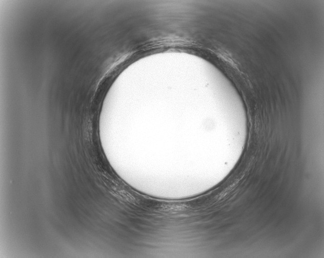 X0000051921309200507222124