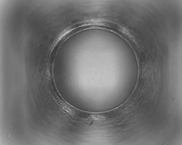 X0000051921312200507222124