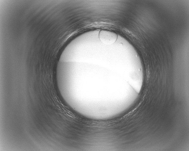 X0000051921313200507222124