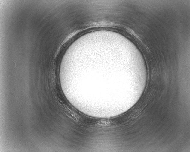 X0000051921315200507222124