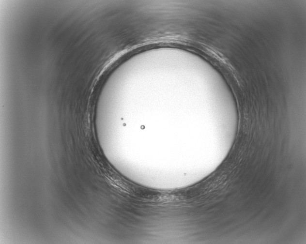 X0000051921316200507222124