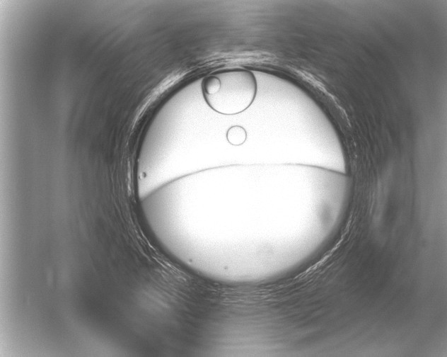 X0000051921317200507222124