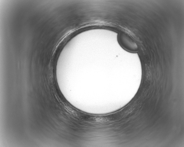 X0000051921318200507222124