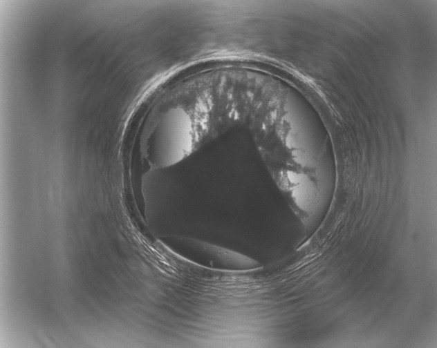 X0000051921319200507222124