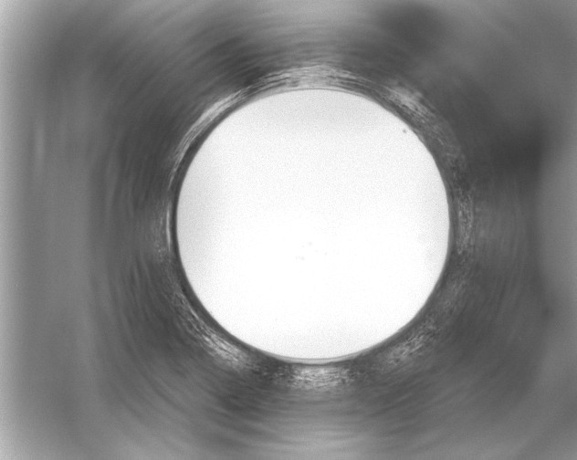 X0000051921322200507222124