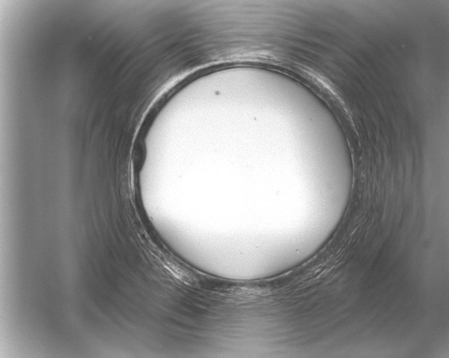 X0000051921324200507222124