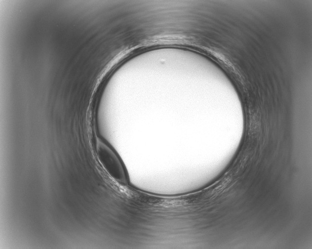 X0000051921325200507222124