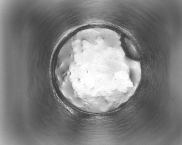 X0000051921327200507222124