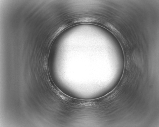 X0000051921329200507222124